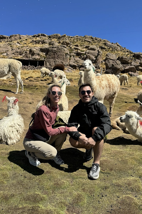 lama